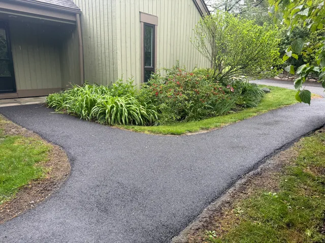 a view of a garden with a potted plant