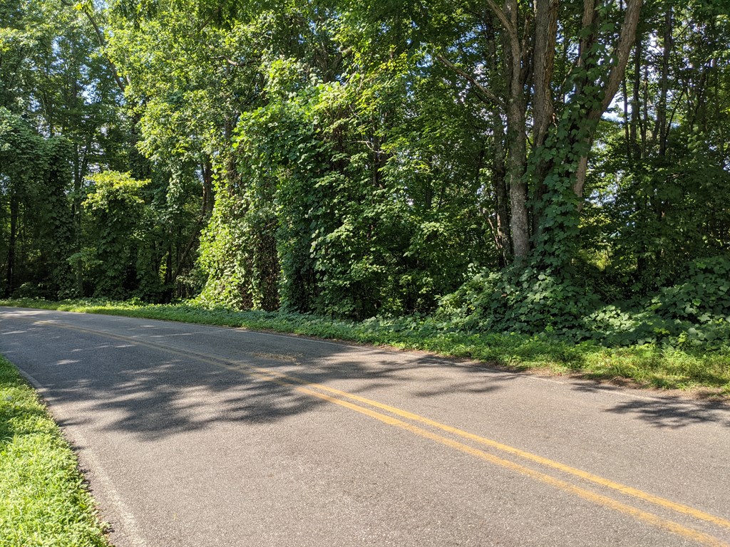 0 Town Mountain Road Hayesville, NC 28904 - Photo 3 of 8