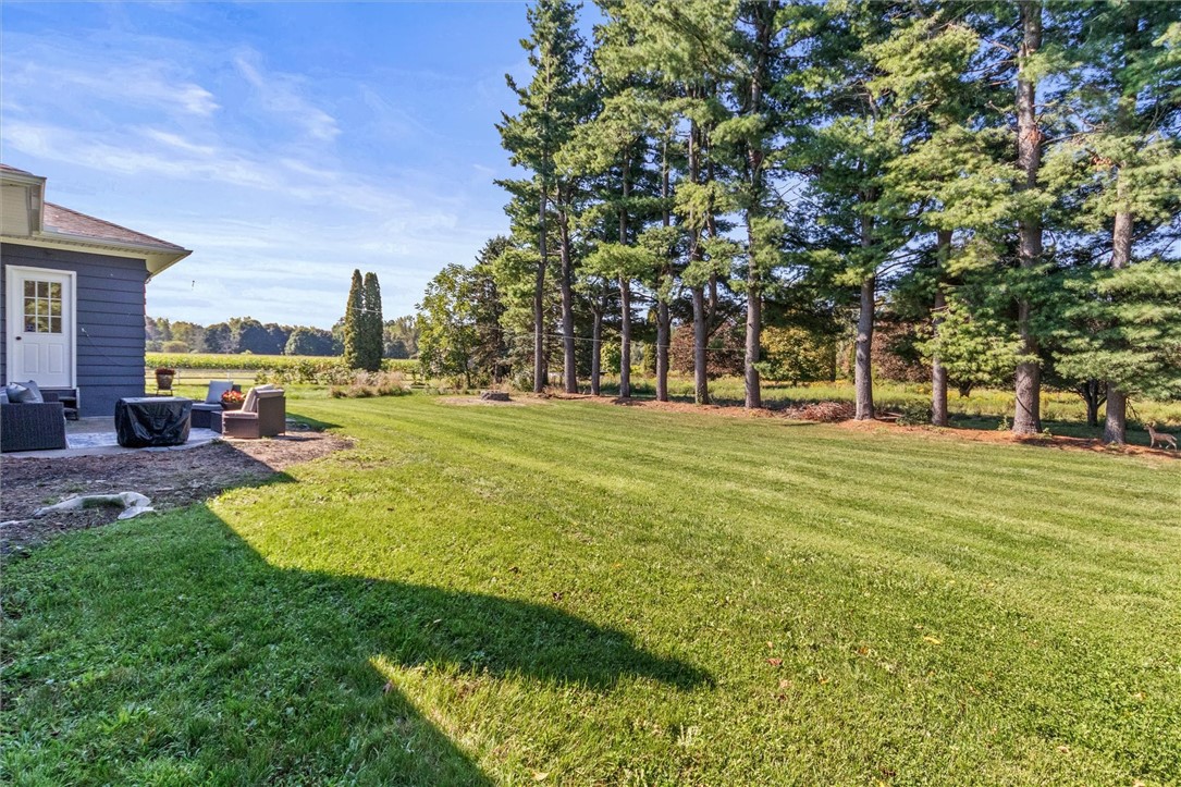 946 Highway 88 Phelps, NY 14513 - Photo 12 of 48 backyard