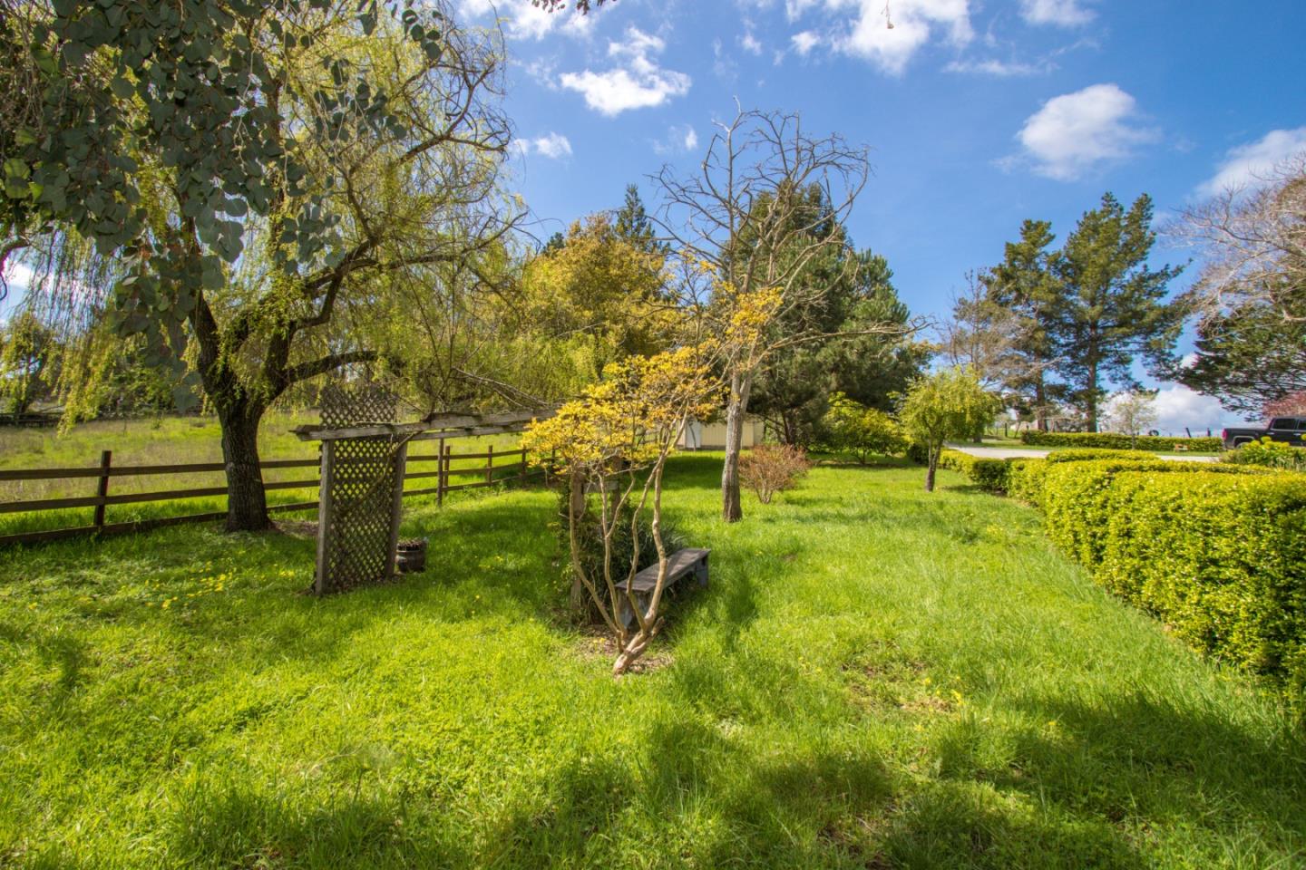 105 Mountain View Road Watsonville, CA 95076 - Photo 7 of 26 a view of a park with large trees