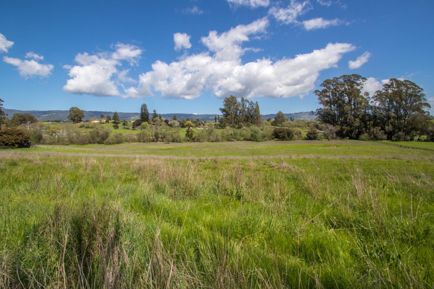 105 Mountain View Road Watsonville, CA 95076 - Photo 8 of 26 a view of a big yard with large trees