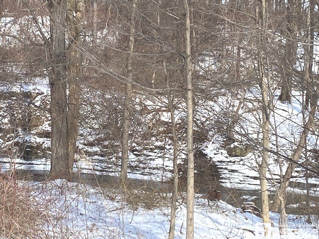 70 Old Mill Road Portland, NY 14716 - Photo 3 of 7