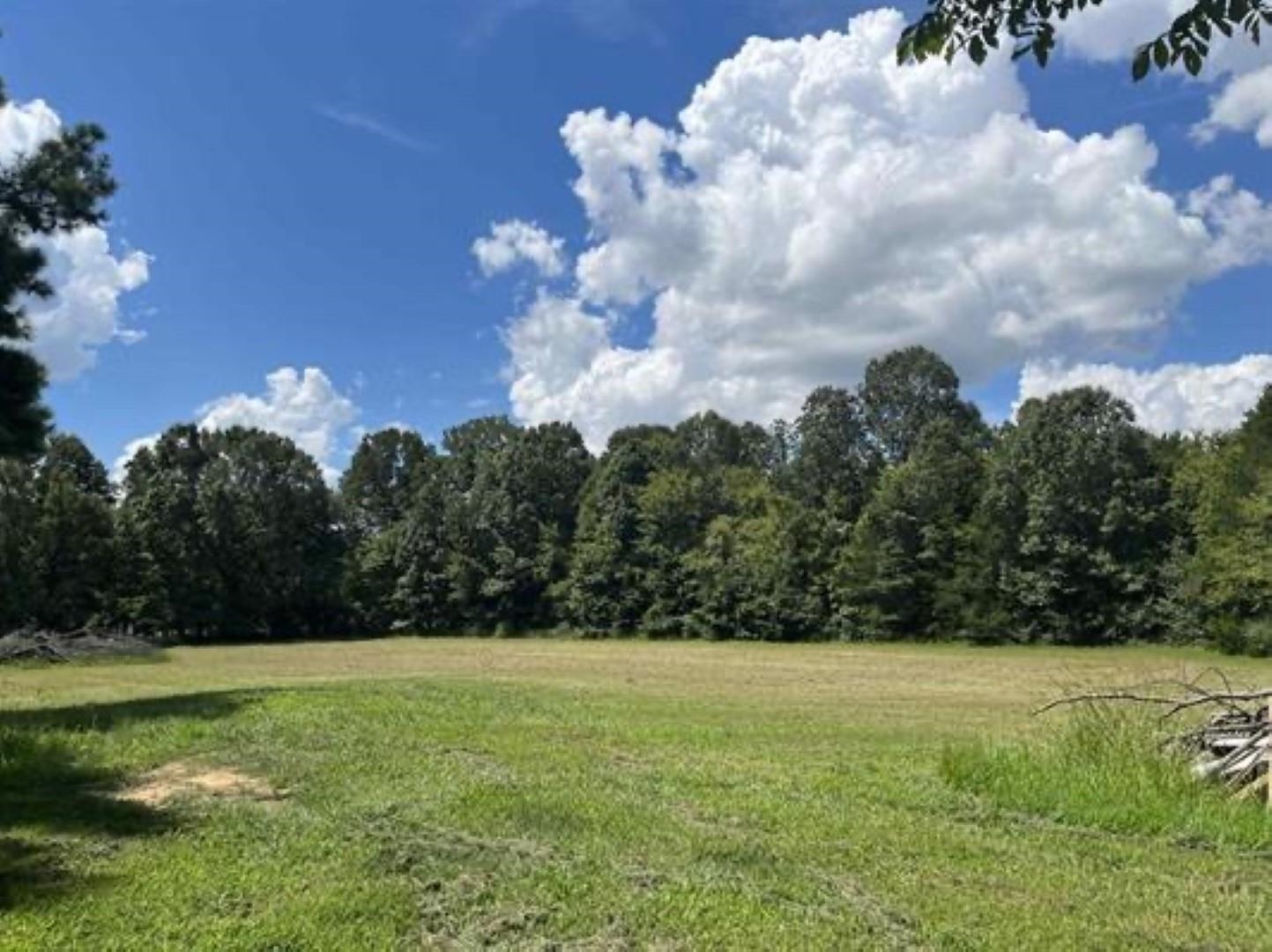 11620 East Holmes Road Collierville, TN 38017 - Photo 2 of 28