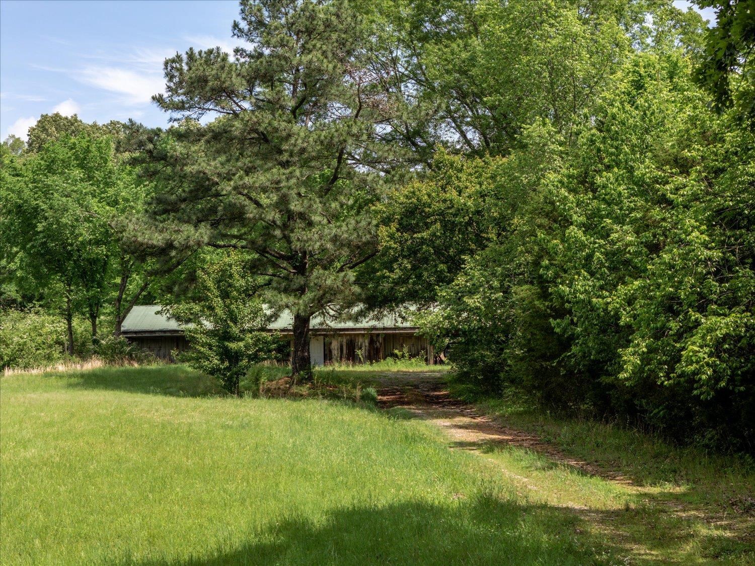 11620 East Holmes Road Collierville, TN 38017 - Photo 24 of 28 View of yard