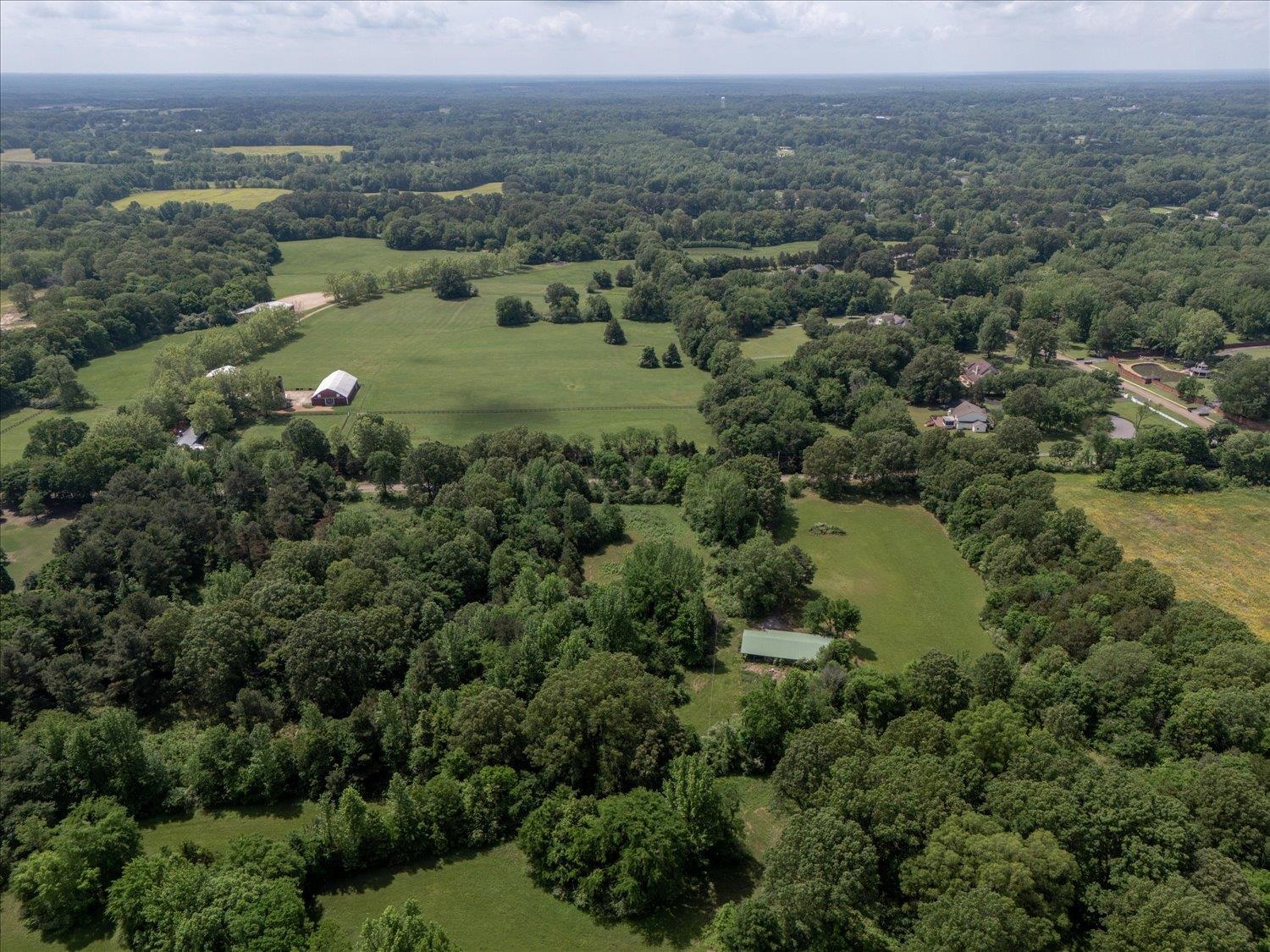 11620 East Holmes Road Collierville, TN 38017 - Photo 10 of 28 Bird's eye view featuring a forest view