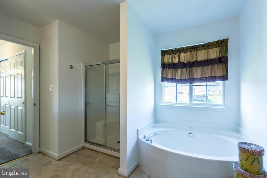 831 Autumn Ridge Road Culpeper, VA 22701 - Photo 16 of 28 Bath (Master)