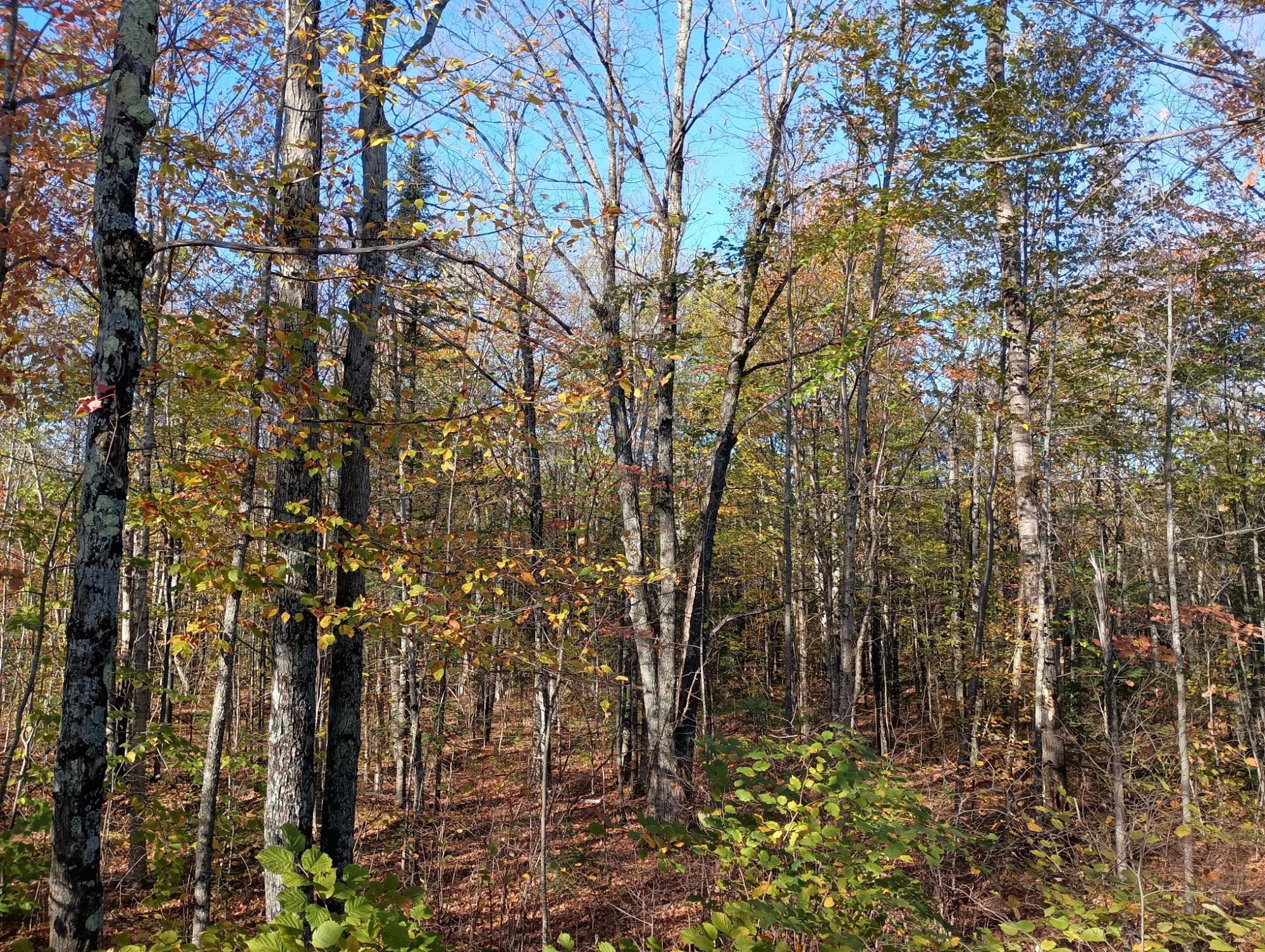 On Kornstead Road, Unit 80 AC Mellen, WI 54546 - Photo 9 of 32 Gallery Image 9