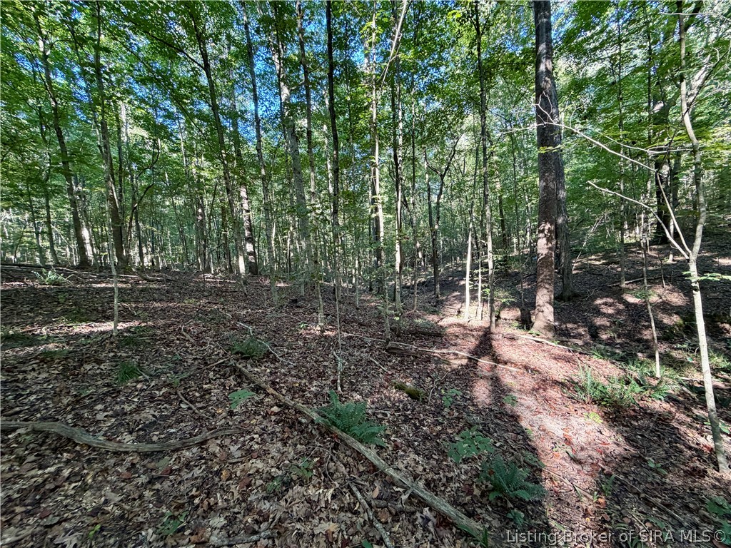 South Big Springs Road Pekin, IN 47165 - Photo 8 of 24 Gallery Image 8