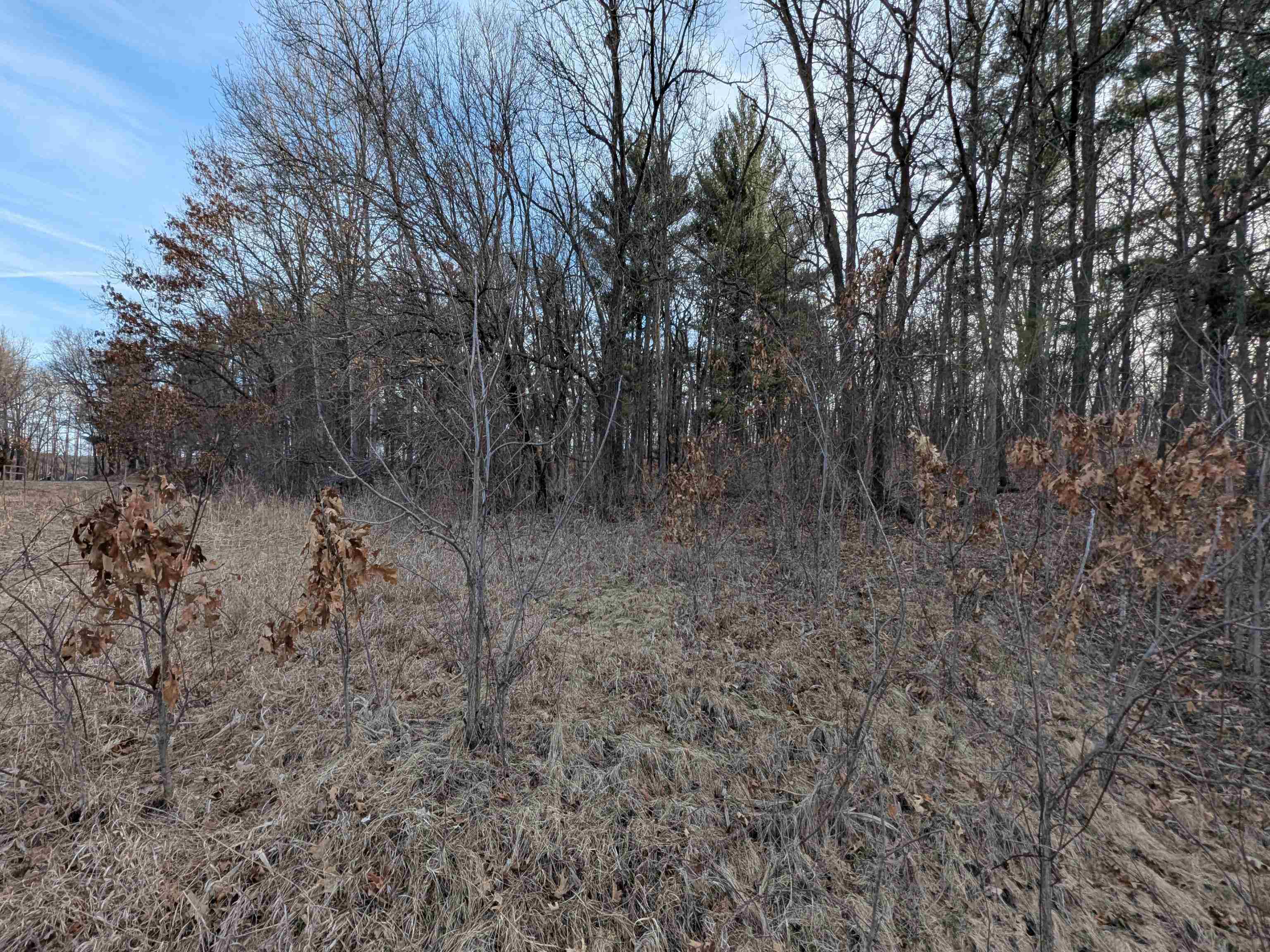 L22 Quail Meadow Lane Reedsburg, WI 53959 - Photo 5 of 16
