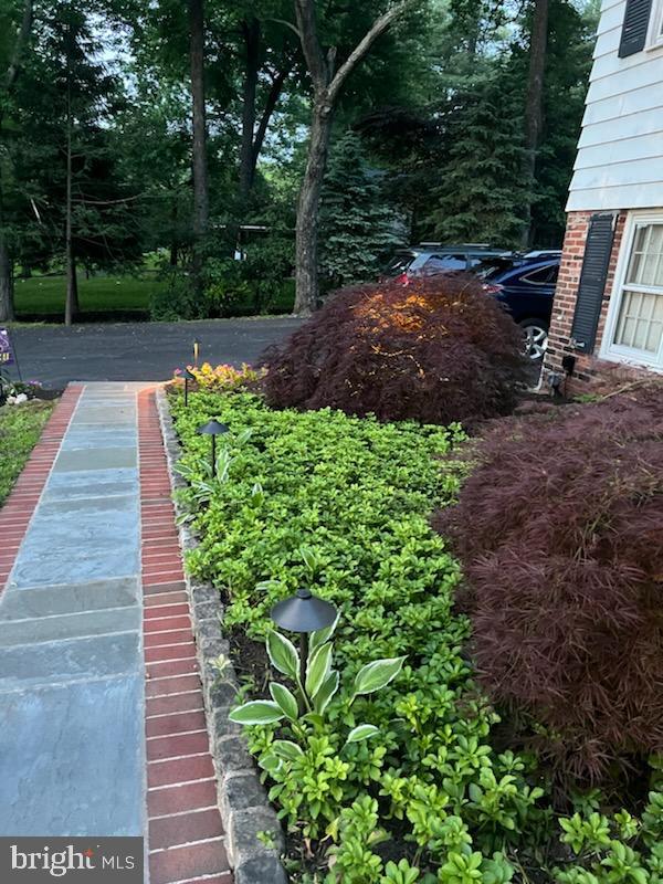 613 McKean Road Ambler, PA 19002 - Photo 47 of 51 Walkway in Summer