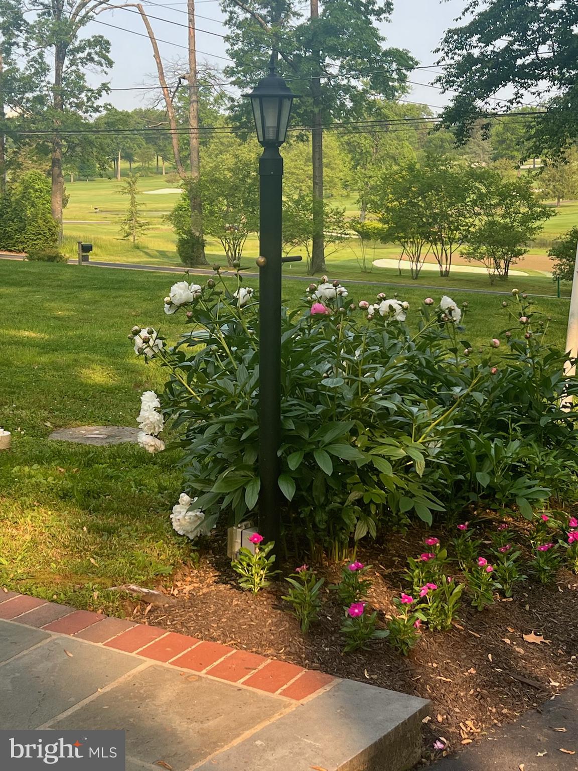 613 McKean Road Ambler, PA 19002 - Photo 51 of 51 Beautiful Landscaping
