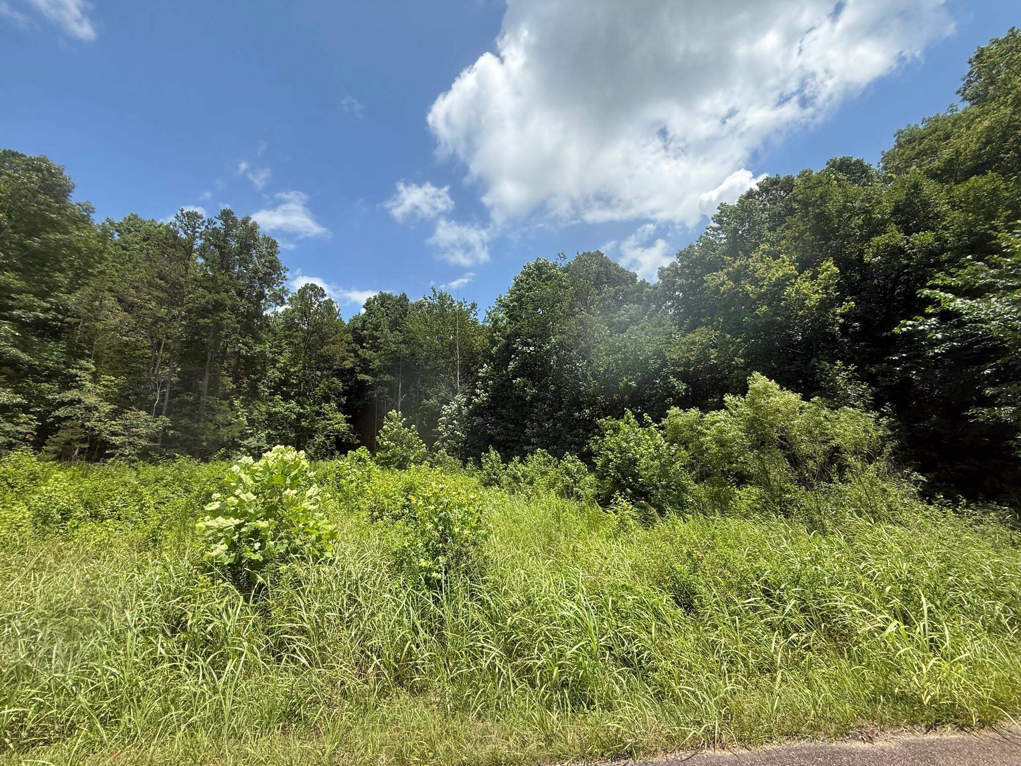 1 Cherry Chapel Loop Savannah, TN 38372 - Photo 1 of 11 a view of a garden