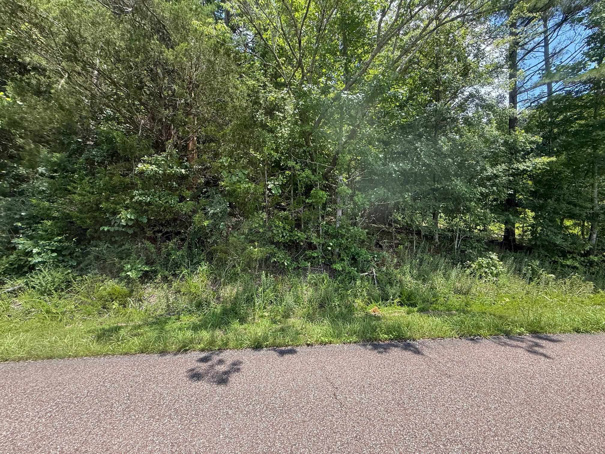 1 Cherry Chapel Loop Savannah, TN 38372 - Photo 6 of 11 a backyard of a house with a tree