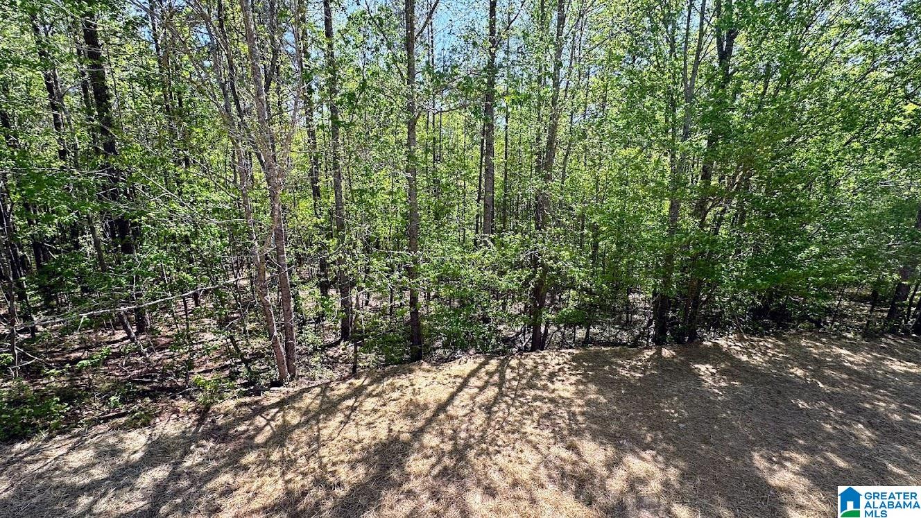 3178 Guntertown Road Talladega, AL 35160 - Photo 86 of 100