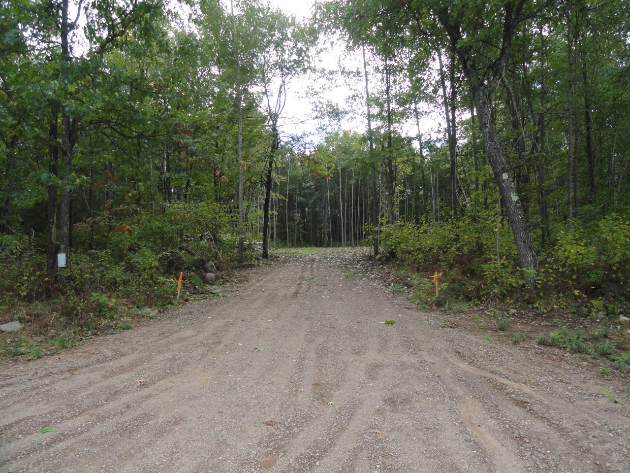 Lot 16 Pfeifer Road Tomahawk, WI 54487 - Photo 1 of 24 Gallery Image 1
