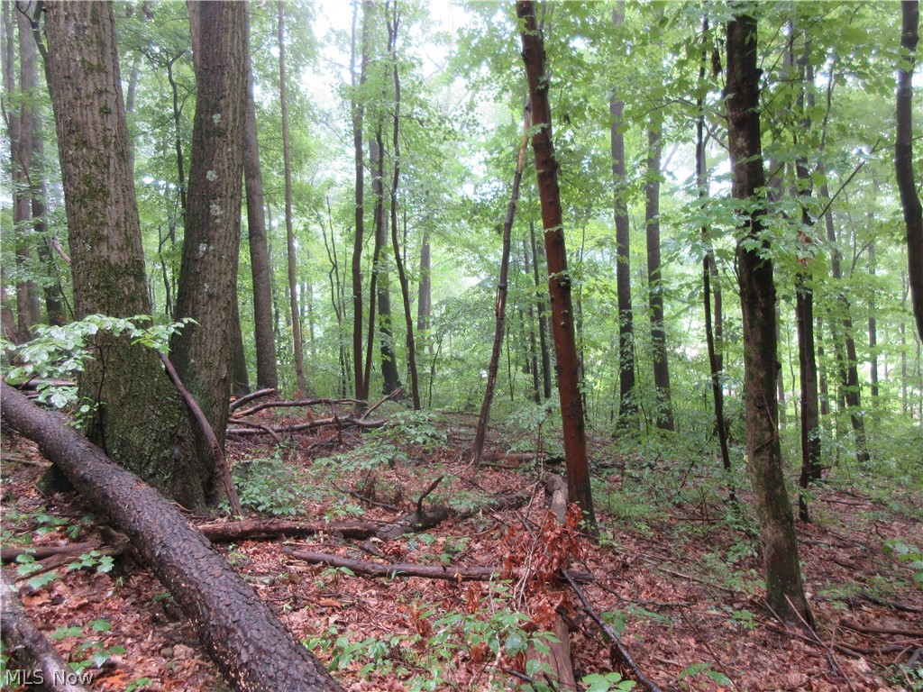 0 County Road Jewett, OH 43986 - Photo 13 of 15 Gallery Image 13