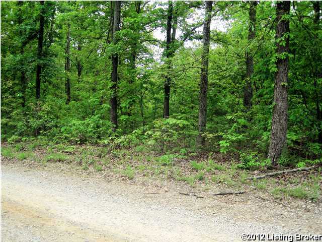 300 Vic Young Road Olaton, KY 42361 - Photo 1 of 10 Primary Photo