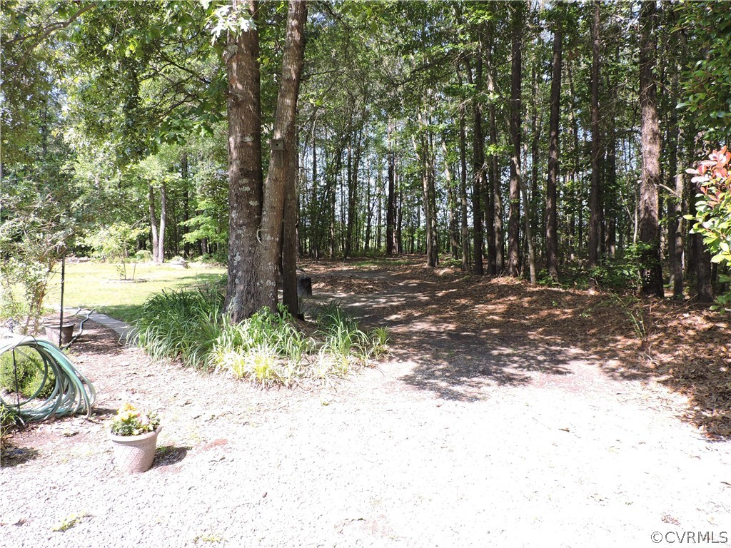 16620 Templeton Road Disputanta, VA 23842 - Photo 46 of 48