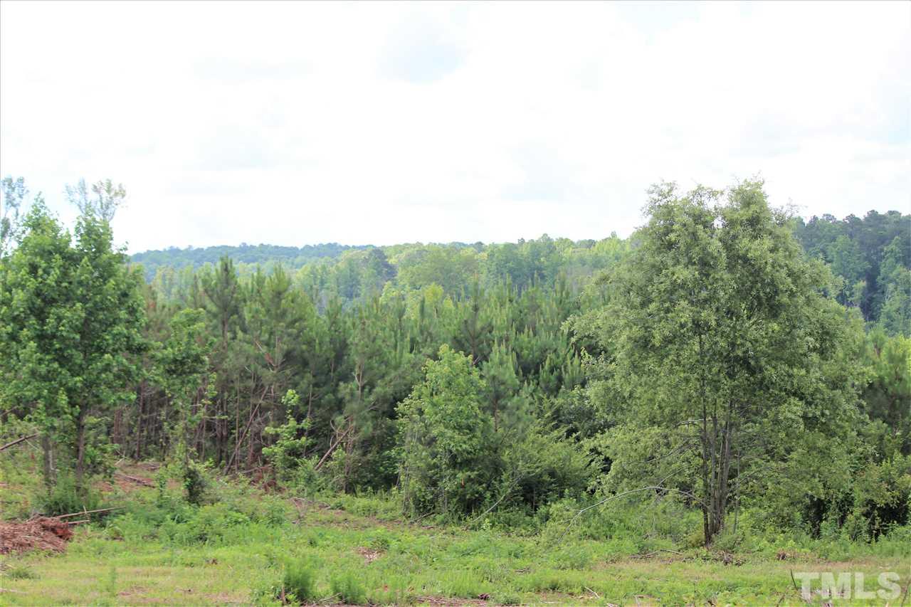 4 Claude Lewis Road, Unit LOT 4 Middlesex, NC 27557 - Photo 2 of 2