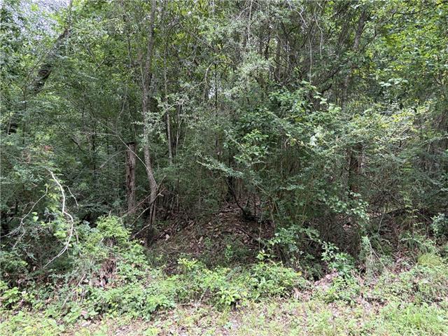 0 Thigpen Road Franklinton, LA 70438 - Photo 11 of 34