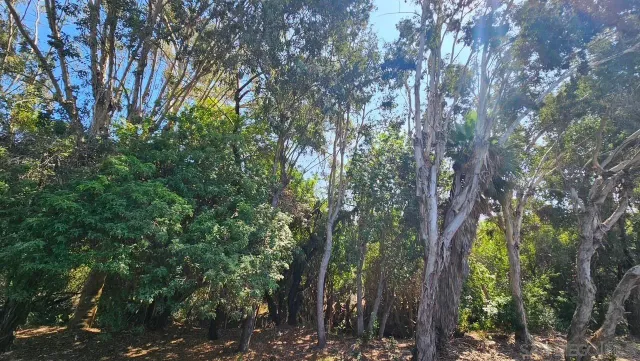 $765,000 | 2412 Altisma Way, Unit D, Carlsbad, CA 92009