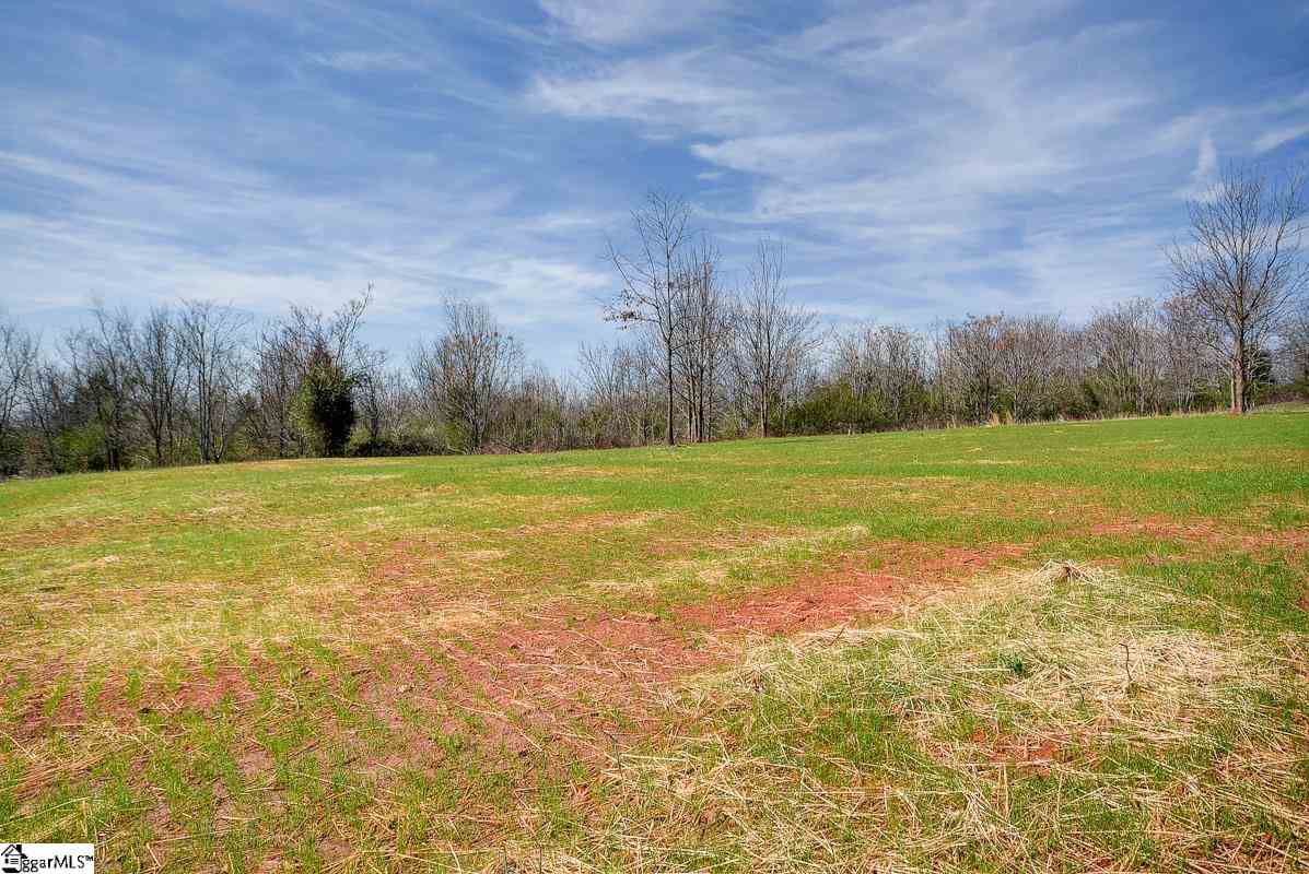1610 Love Springs Road Gaffney, SC 29341 - Photo 33 of 35