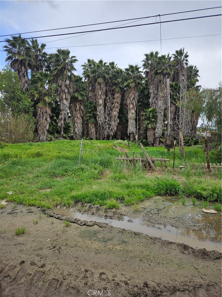 0 315171011 Bailly St  