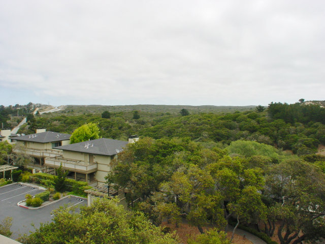 432 Pheasant Ridge Road Monterey, CA 93940 - Photo 4 of 18 Gallery Image 4