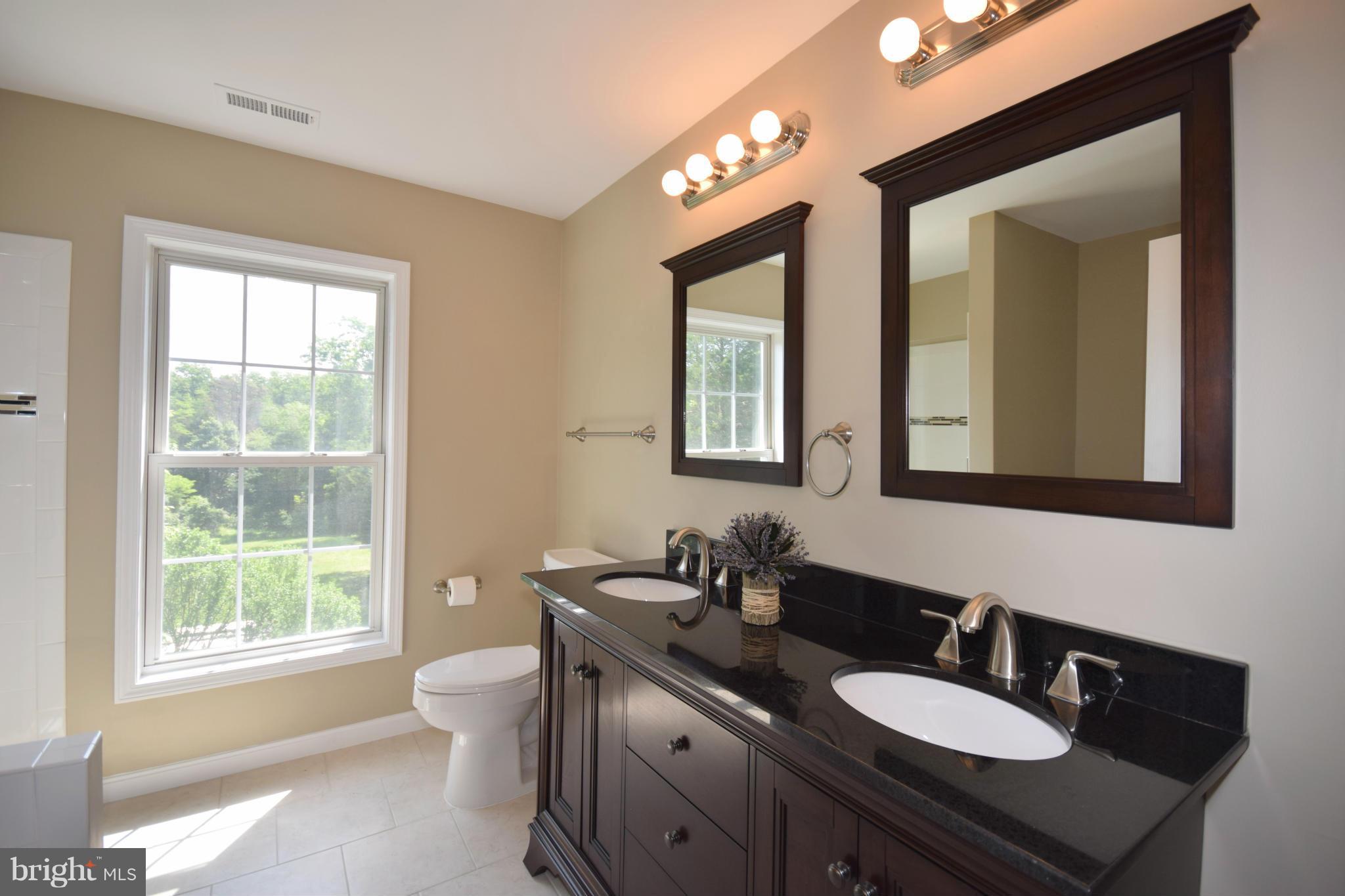 150 High Bluff Road Middletown, VA 22645 - Photo 21 of 30 a bathroom with double vanity sinks a toilet a mirror and a window