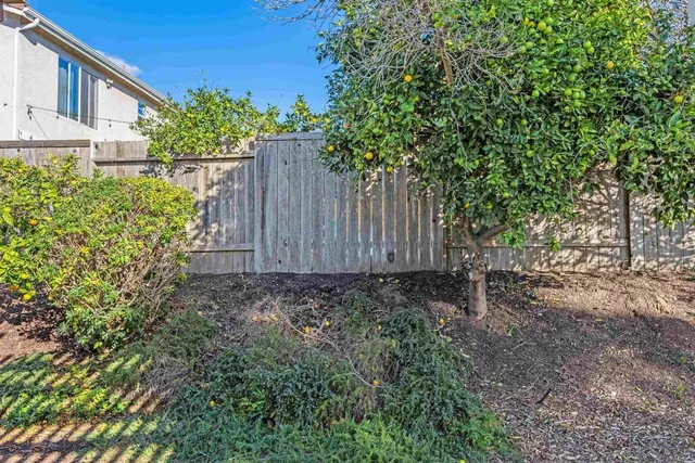 a view of a big yard with plants and large trees