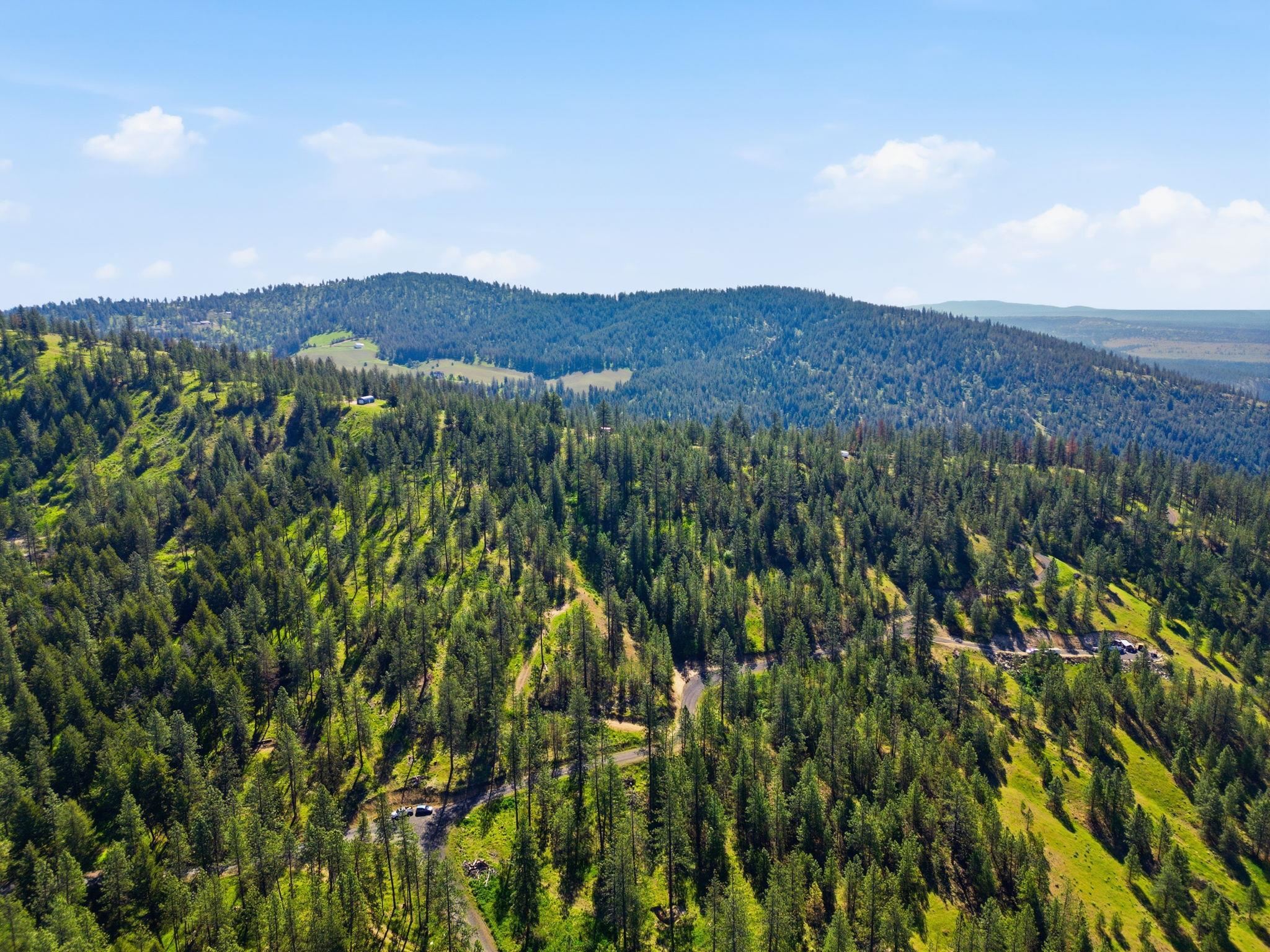 Nka Weaver Road, Unit LOT D Deer Park, WA 99006 - Photo 6 of 20