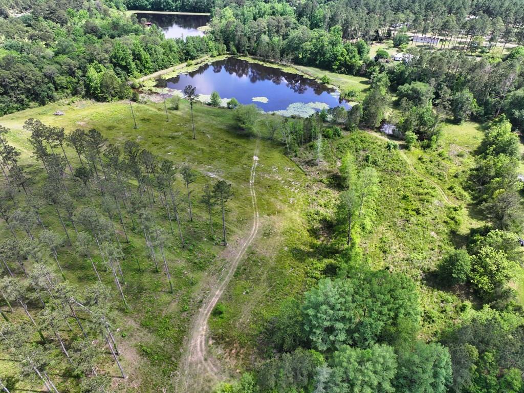 320 Robert Willis Road Cairo, GA 39827 - Photo 1 of 31 Main View