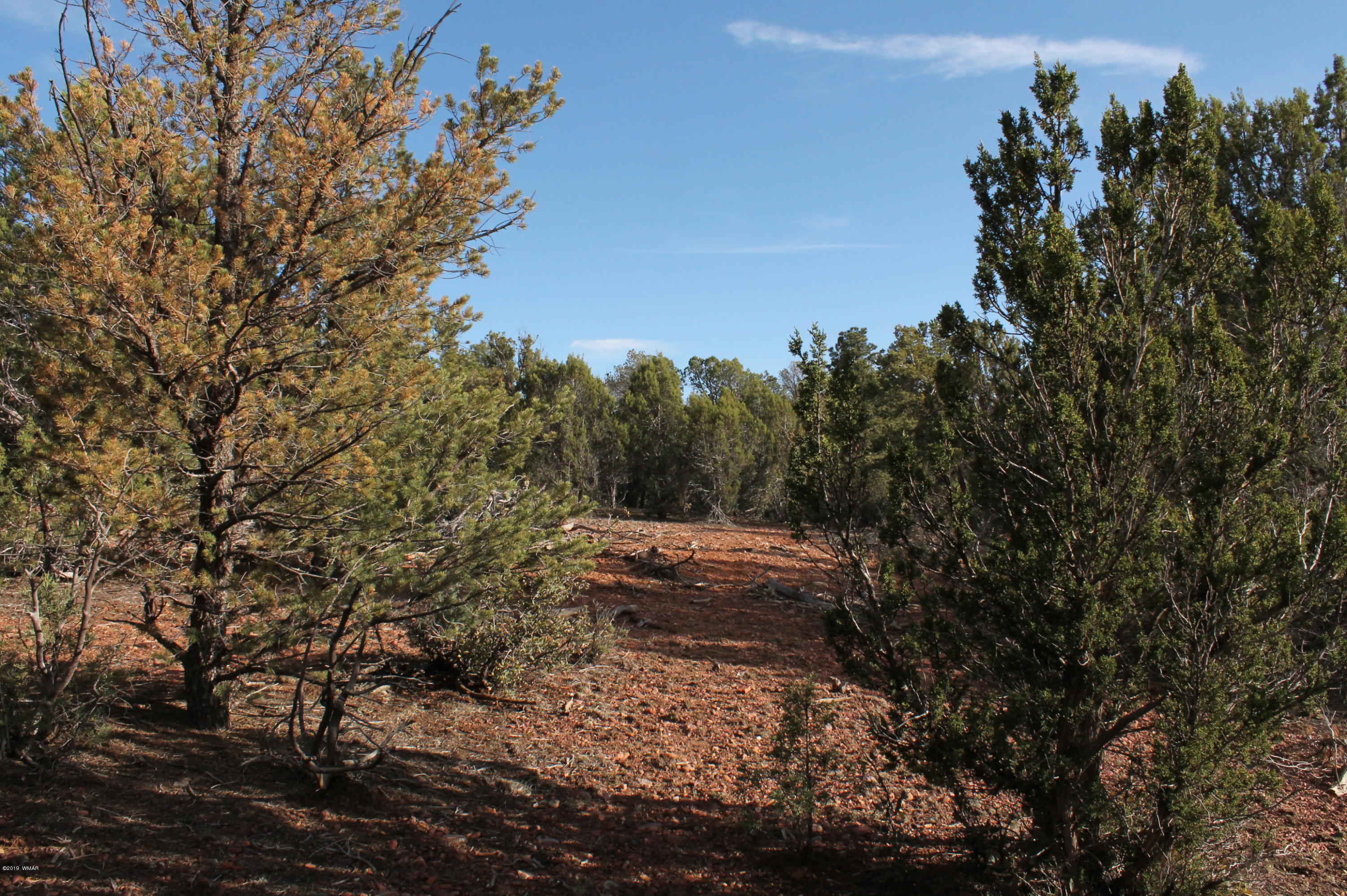 5081 Alyssa Road Show Low, AZ 85901 - Photo 1 of 5