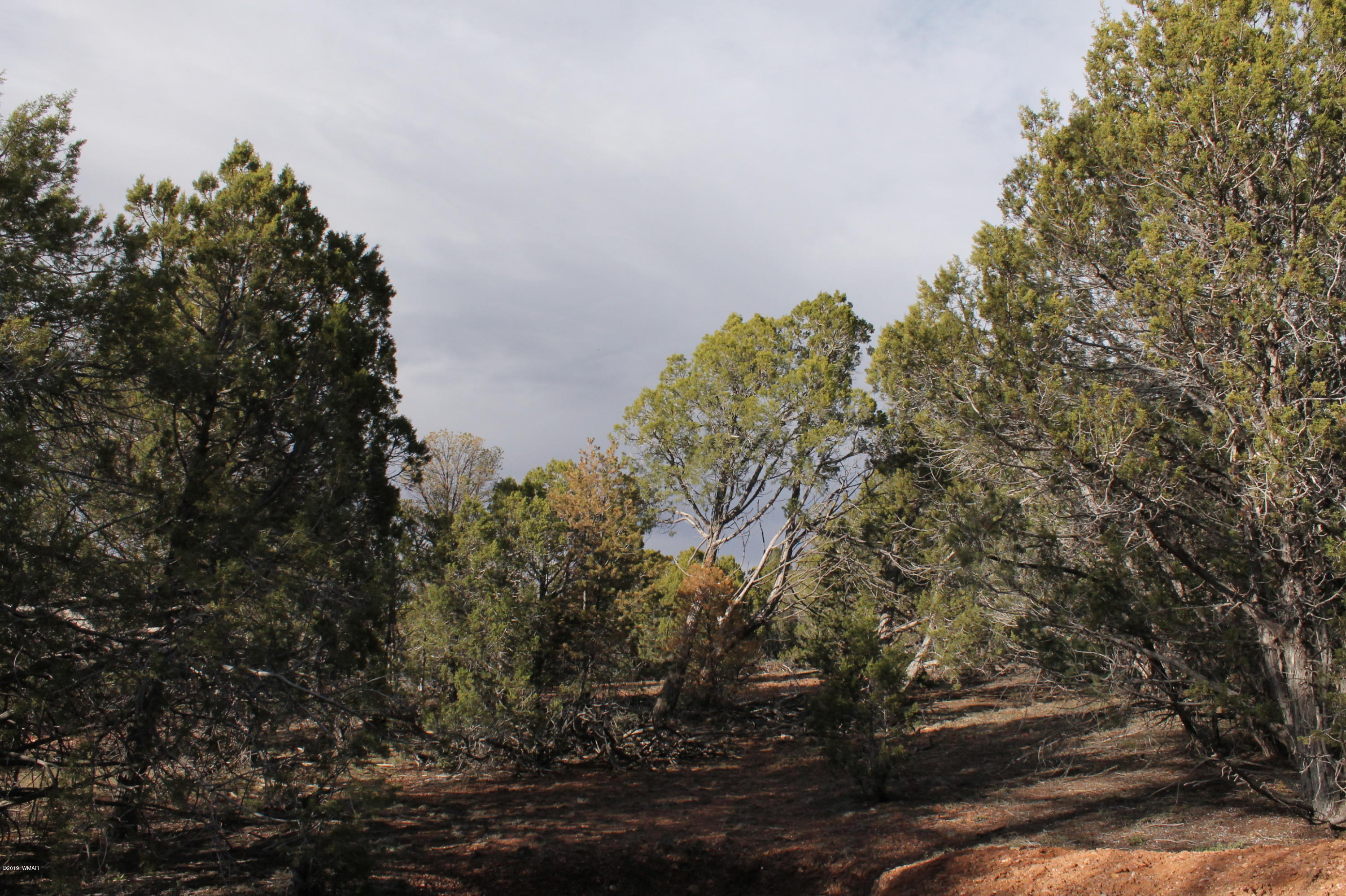 5081 Alyssa Road Show Low, AZ 85901 - Photo 4 of 5
