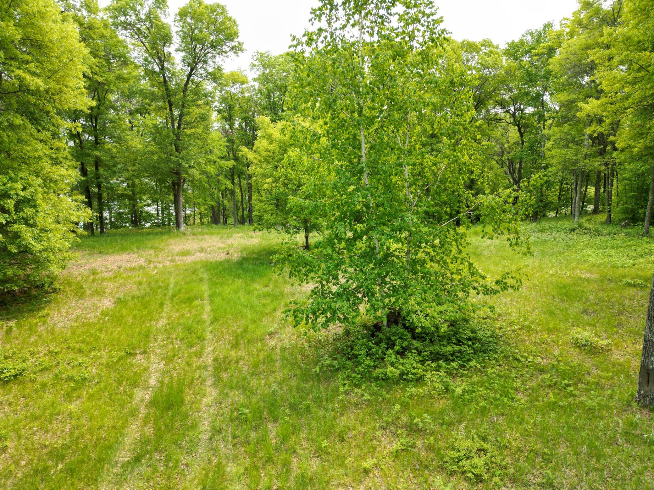 Tbd Tbd Little Bass Lake Road Baxter, MN 56425 - Photo 9 of 27