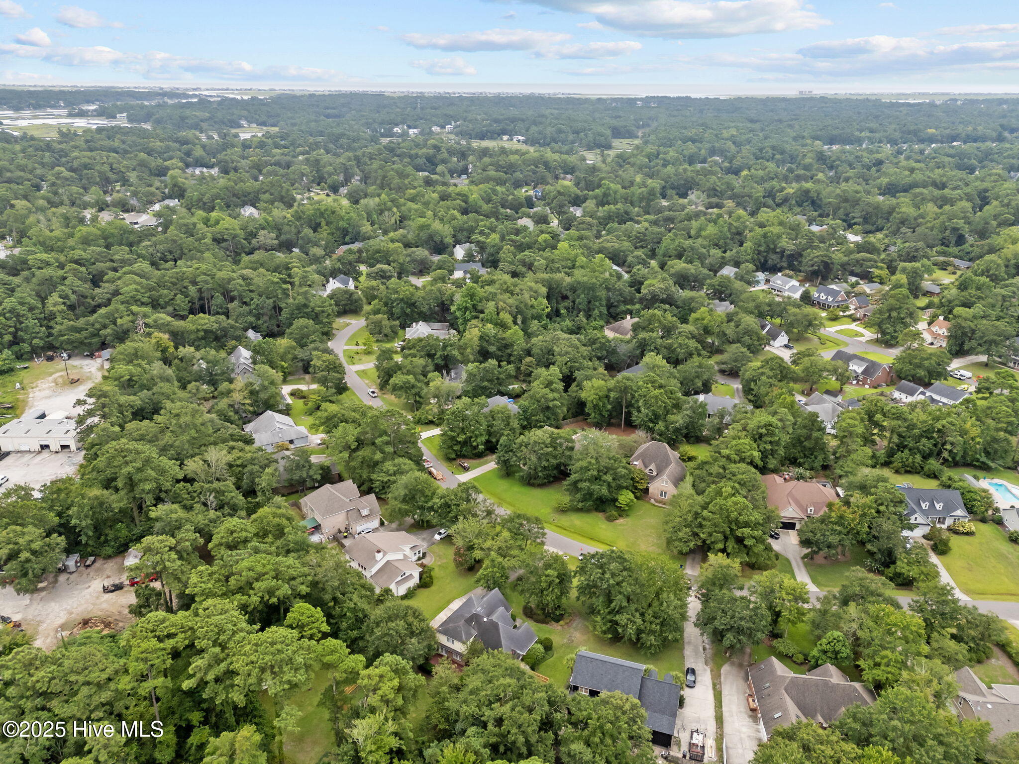 7625 Lost Tree Road Wilmington, NC 28411 - Photo 66 of 69 29-web-or-mls-DJI_20250805122057_0425_D