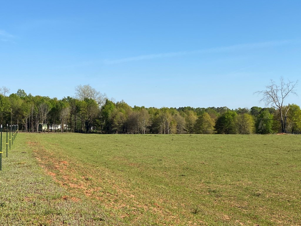 0 Co Road Abbeville, AL 36310 - Photo 16 of 53