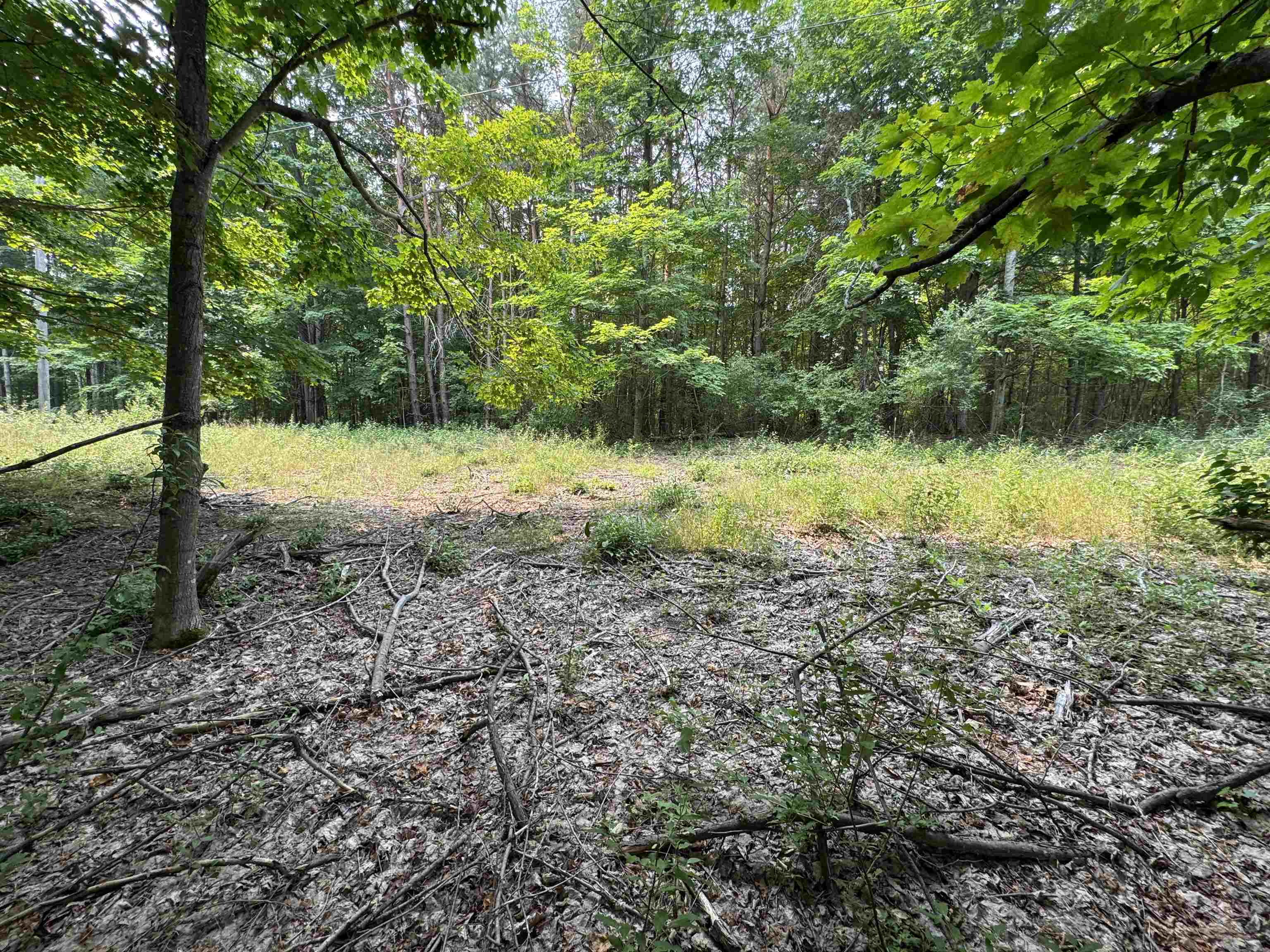 Lot #2 East Bellinger Road, Unit BELLINGER ESTATES Cedar, MI 49621 - Photo 6 of 19
