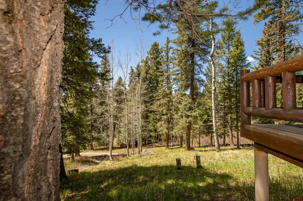 $425,000 | 102 Meadowbrook Place, Pagosa Springs, CO 81147