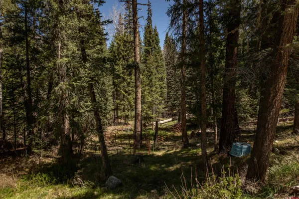 $425,000 | 102 Meadowbrook Place, Pagosa Springs, CO 81147