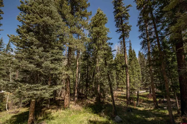 $425,000 | 102 Meadowbrook Place, Pagosa Springs, CO 81147