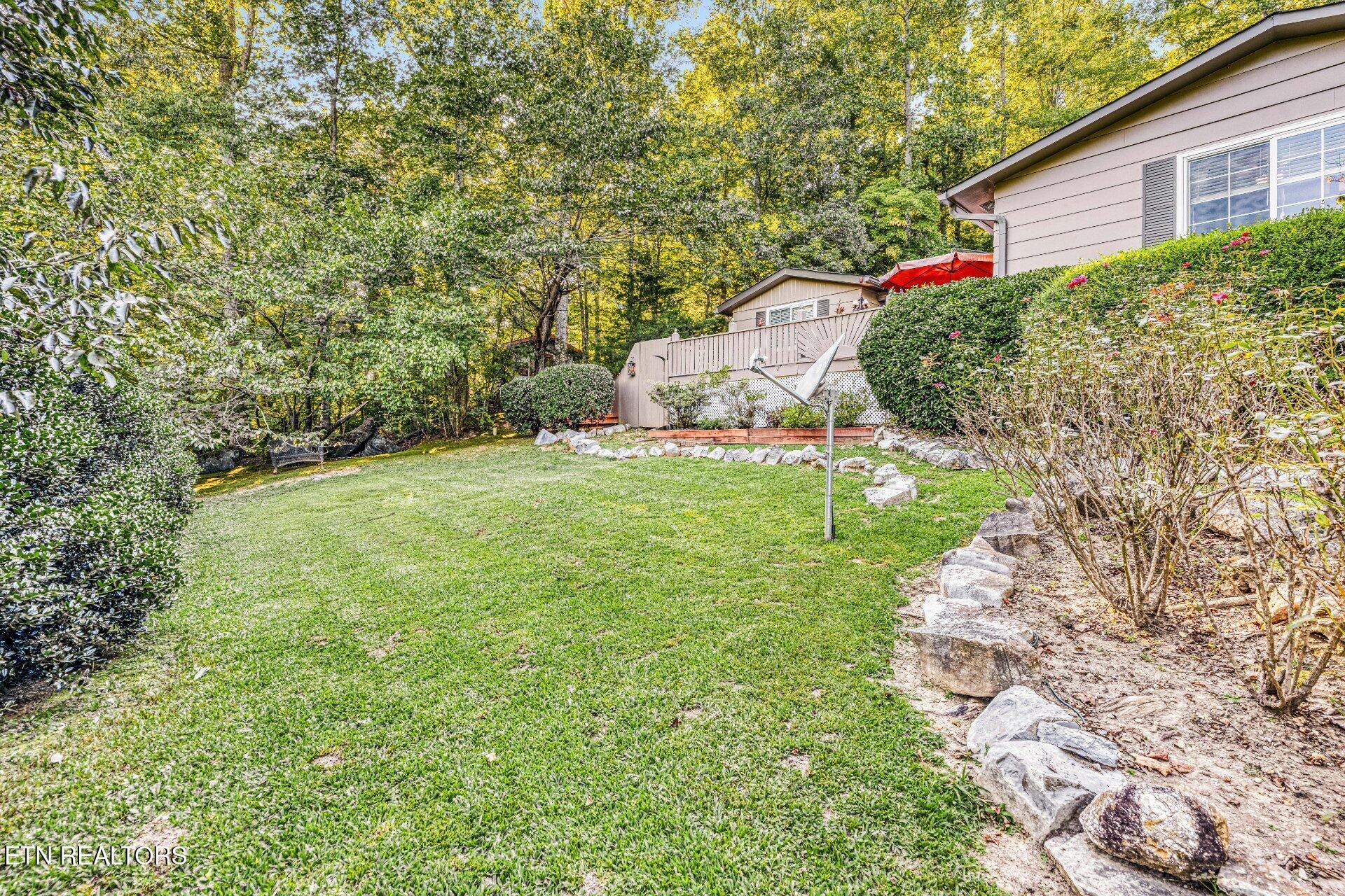 733 Cavern Road Townsend, TN 37882 - Photo 34 of 53 photo_024