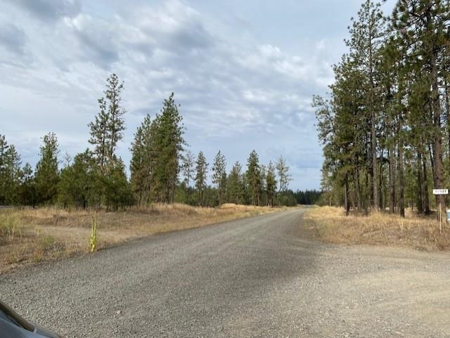 5742 J Corkscrew Canyon Road Tumtum, WA 99034 - Photo 3 of 11