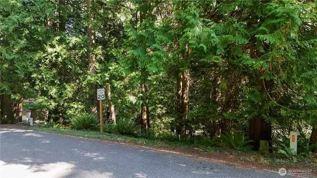 a view of a street with a trees