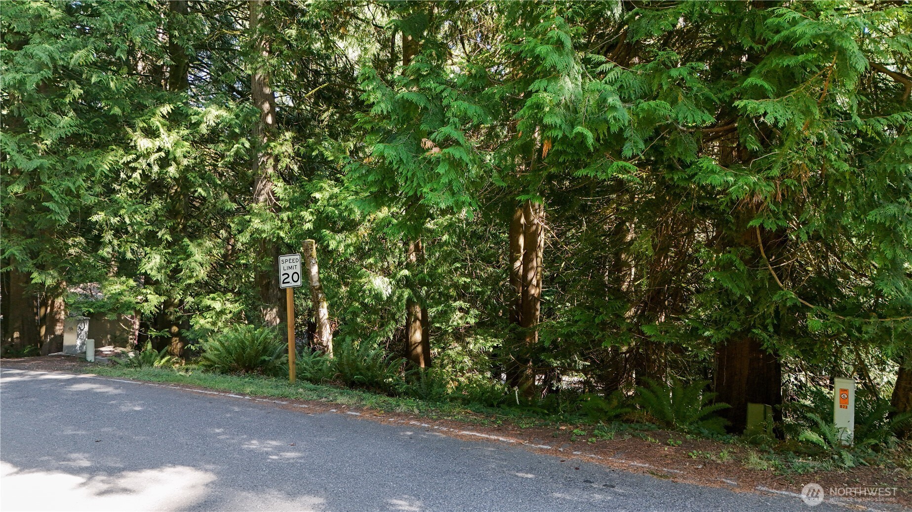 a view of a street with a trees