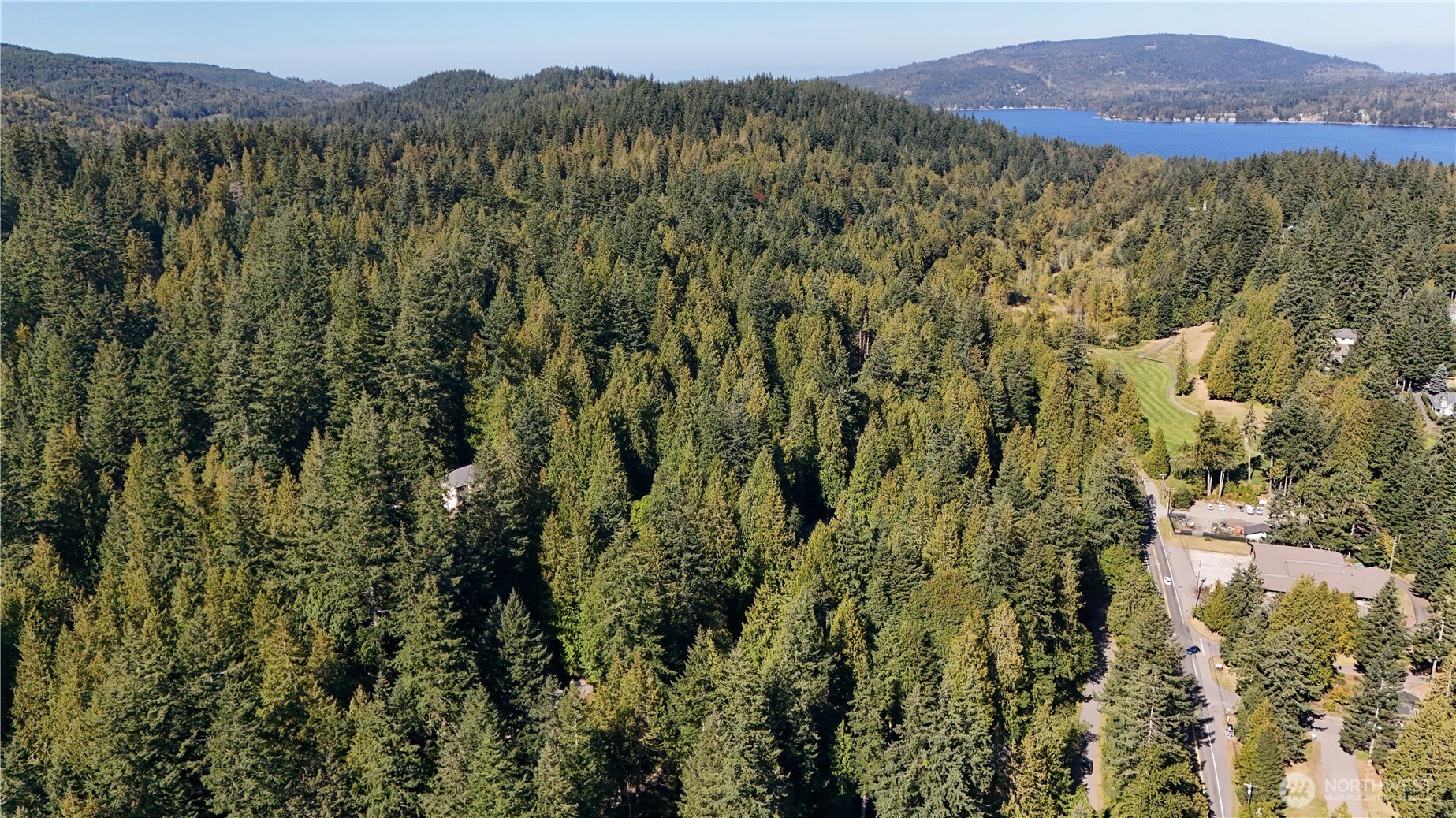 19 Valley Crest Way Bellingham, WA 98229 - Photo 12 of 13 a view of a forest with a mountain