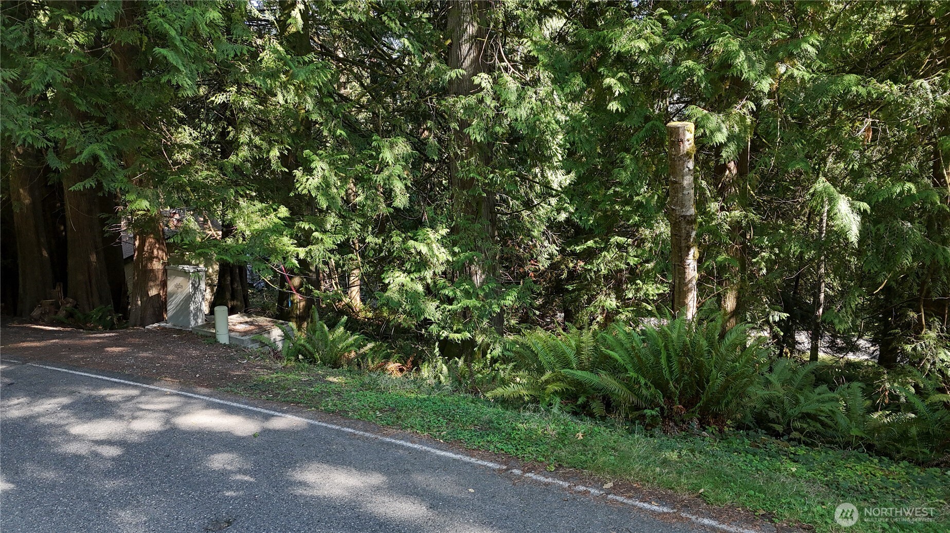 19 Valley Crest Way Bellingham, WA 98229 - Photo 2 of 13 a backyard of a house with lots of green space