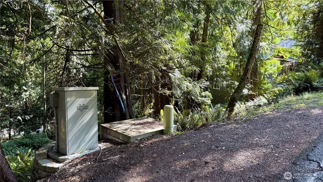 a view of a backyard with large trees