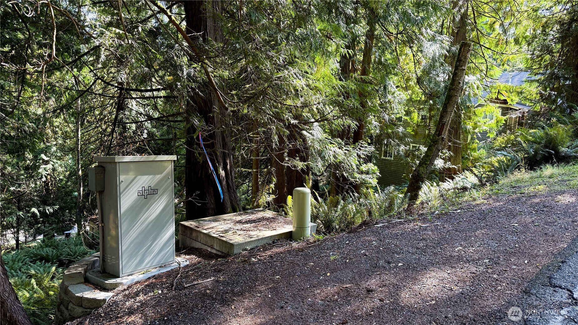 19 Valley Crest Way Bellingham, WA 98229 - Photo 7 of 13 a view of a backyard with large trees
