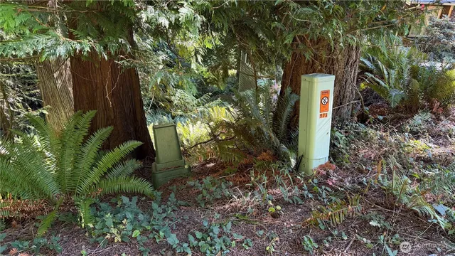 a green field with lots of trees